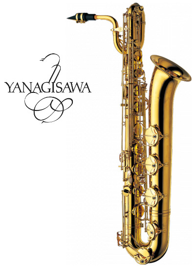 244-13_Yanagisawa_B_WO1_Logo.jpg