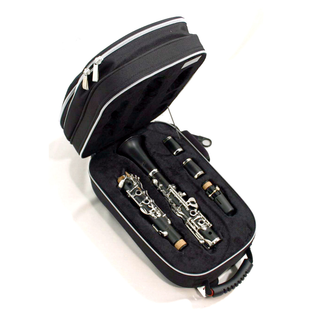 305-34_3-Schreiber-B-Klar-Gigbag.jpg